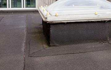 disadvantages of Ditchampton flat roofs