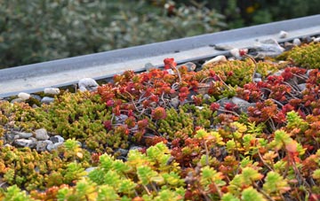 the cost of Ditchampton green roof installation