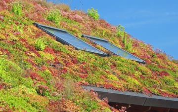 Ditchampton living roof systems