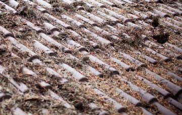 Ditchampton roof cleaning companies