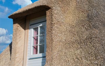 Ditchampton thatch roof disadvantages