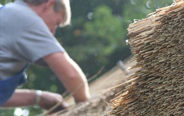 professional Ditchampton thatchers