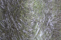 Ditchampton fibreglass roof work